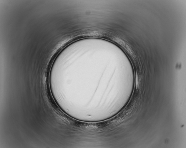 X0000098020483200804251141