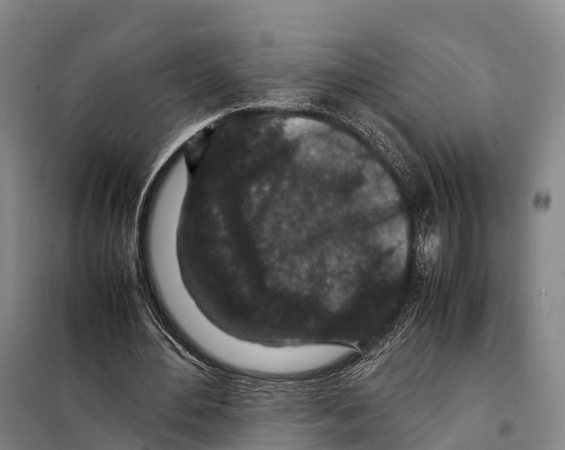 X0000098020484200804251141