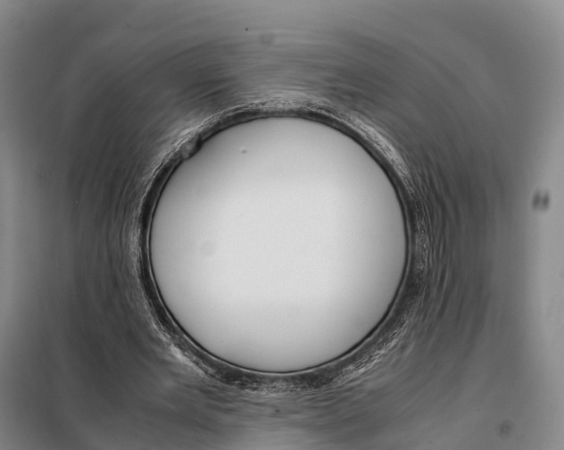 X0000098020485200804251141