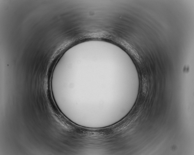 X0000098020486200804251141