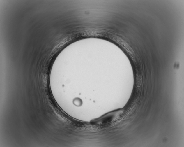 X0000098020489200804251141