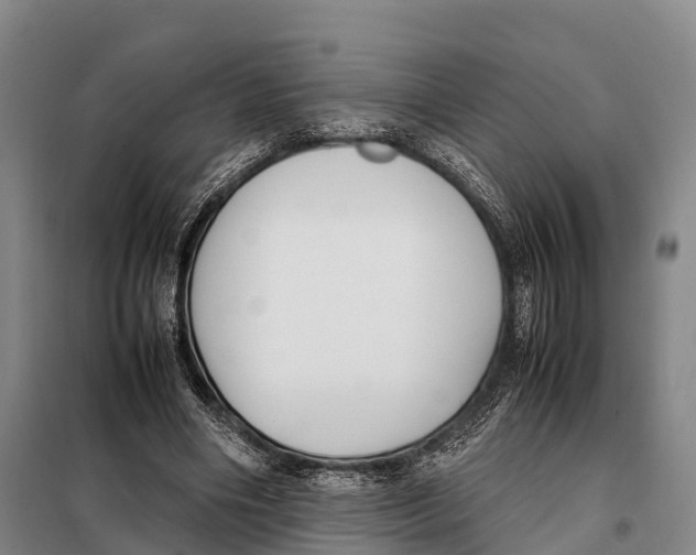X0000098020490200804251141