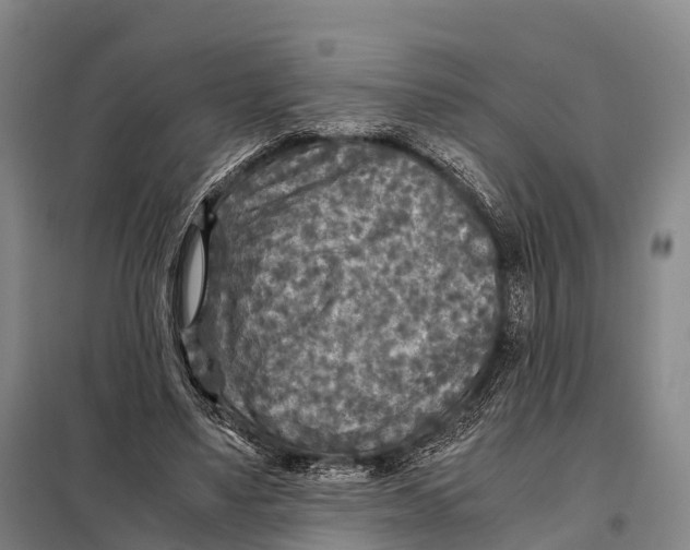 X0000098020491200804251141
