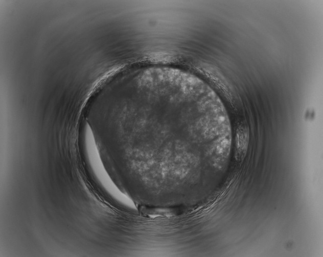 X0000098020492200804251141