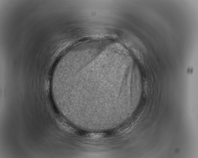 X0000098020495200804251141