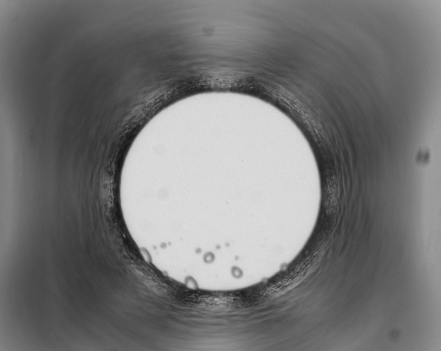 X0000098020497200804251141