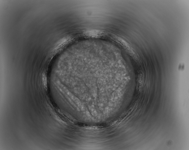 X0000098020500200804251141