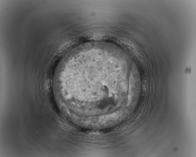 X0000098020503200804251141