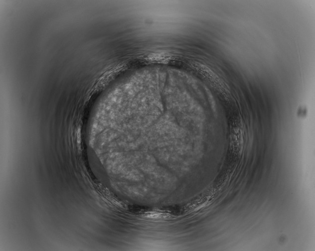 X0000098020504200804251141