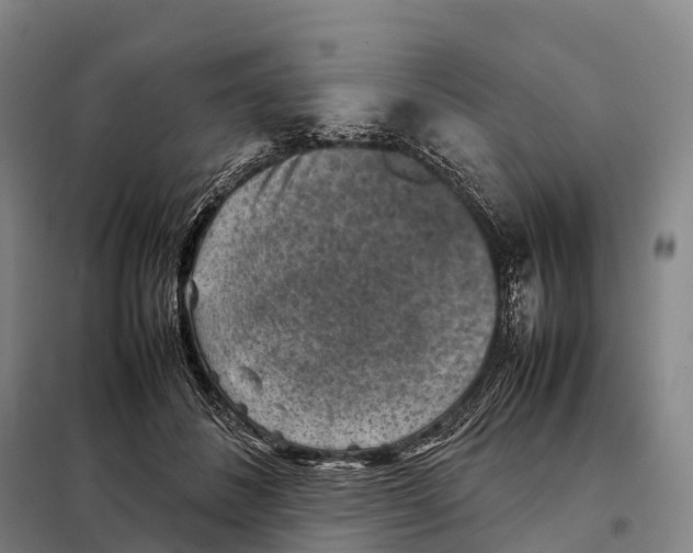 X0000098020508200804251141