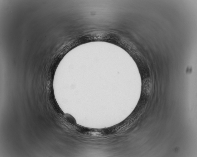 X0000098020509200804251141