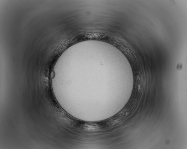 X0000098020510200804251140