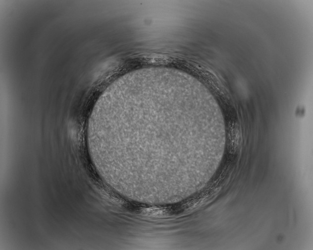 X0000098020511200804251140