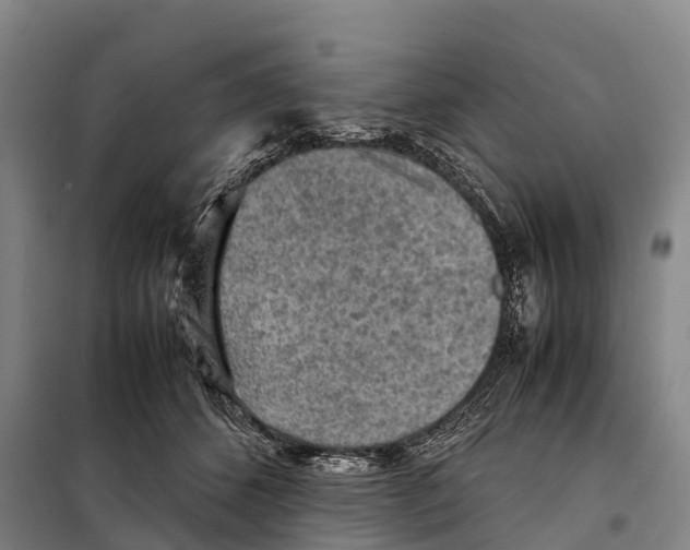 X0000098020512200804251140