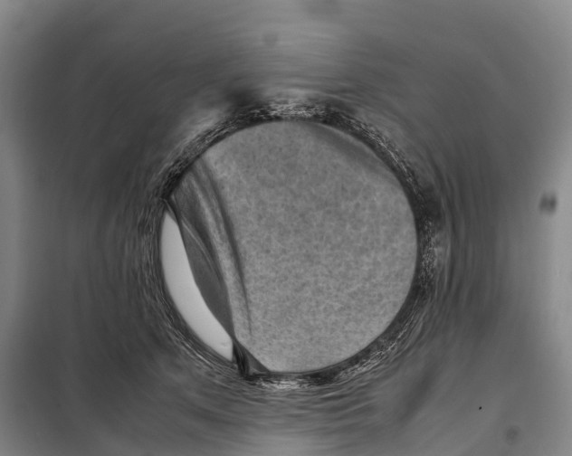 X0000098020513200804251140