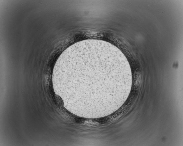 X0000098020515200804251140