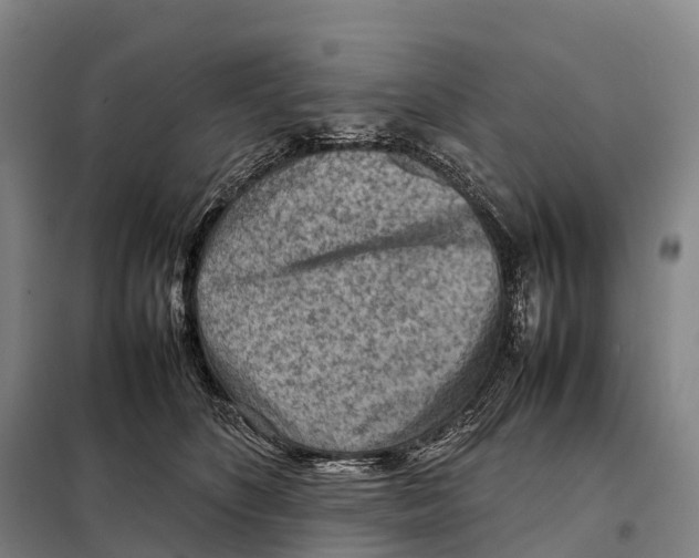 X0000098020516200804251140