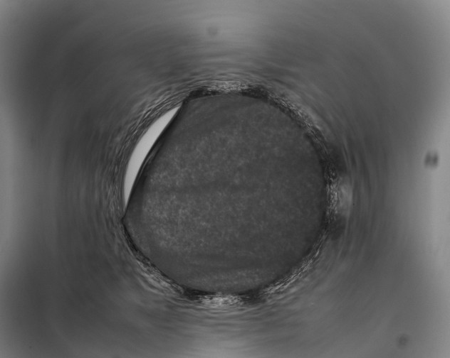 X0000098020517200804251140