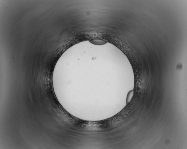 X0000098020518200804251140