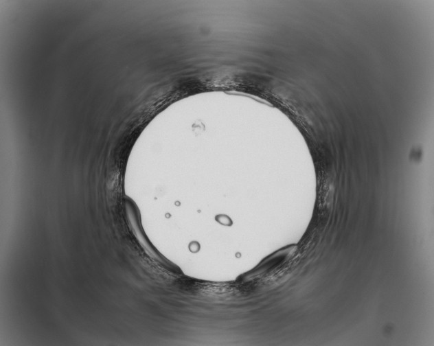 X0000098020521200804251140
