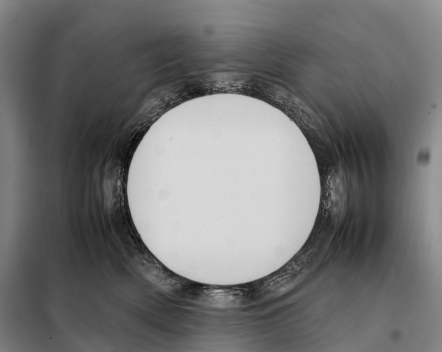 X0000098020522200804251140