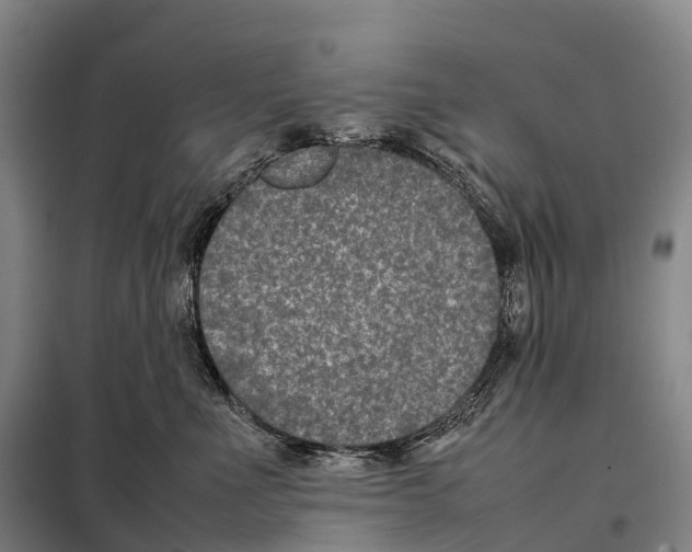 X0000098020523200804251140