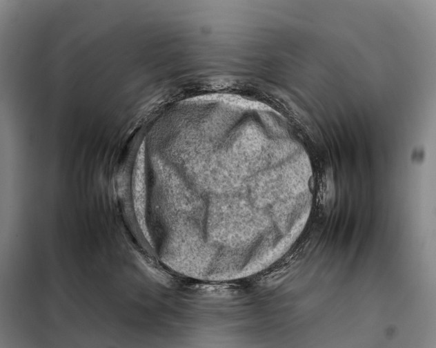 X0000098020524200804251140