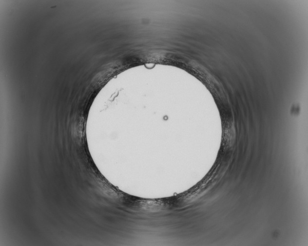 X0000098020525200804251140