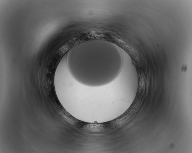 X0000098020526200804251140