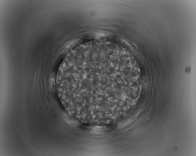 X0000098020527200804251140