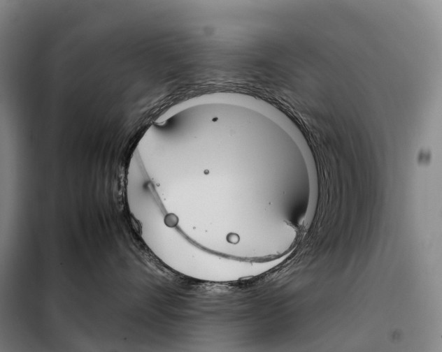 X0000098020528200804251140