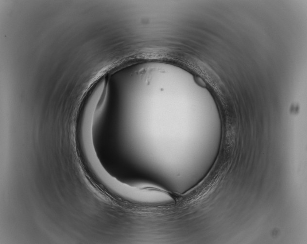 X0000098020530200804251140