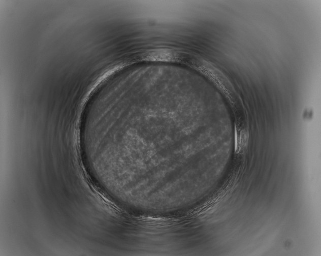 X0000098020531200804251140