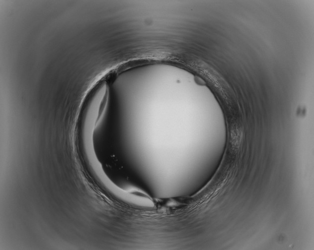 X0000098020532200804251140