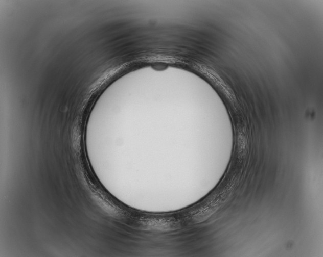 X0000098020533200804251140
