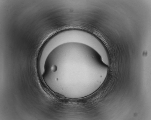 X0000098020534200804251140