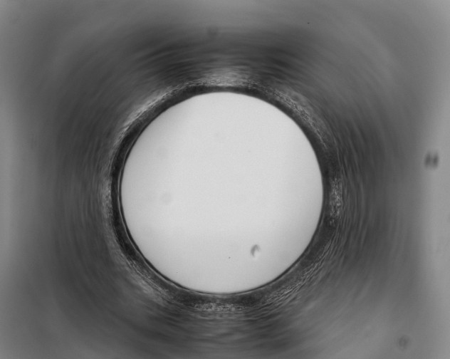 X0000098020535200804251140