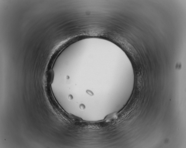 X0000098020536200804251140