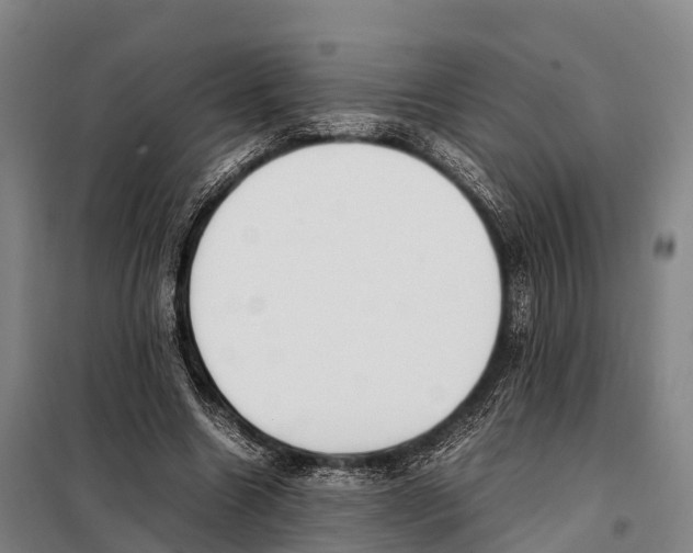 X0000098020538200804251140