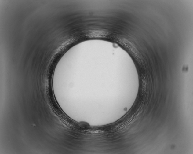 X0000098020539200804251140