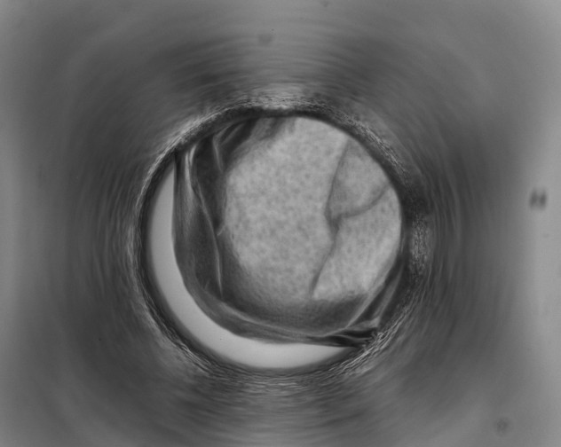 X0000098020540200804251140
