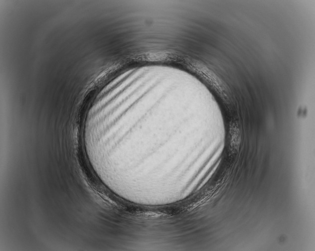 X0000098020542200804251140