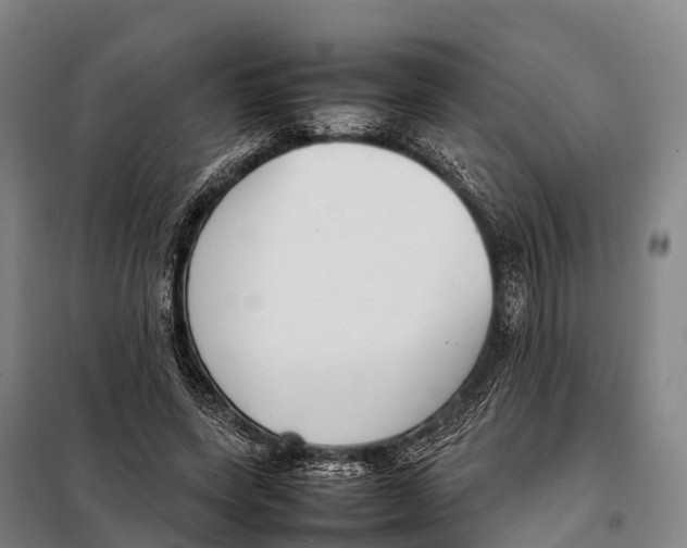X0000098020543200804251140