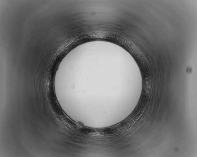 X0000098020544200804251140