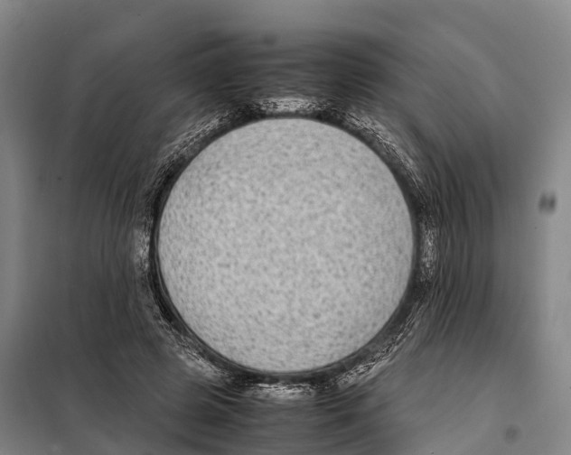 X0000098020545200804251140