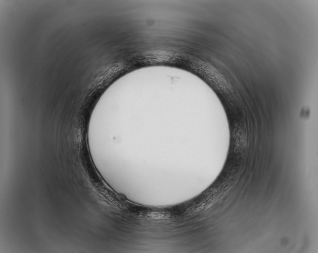 X0000098020546200804251140