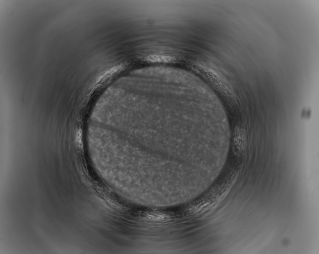 X0000098020547200804251140