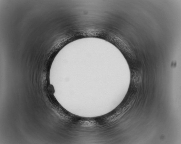 X0000098020548200804251140