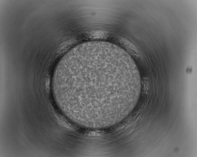 X0000098020550200804251140