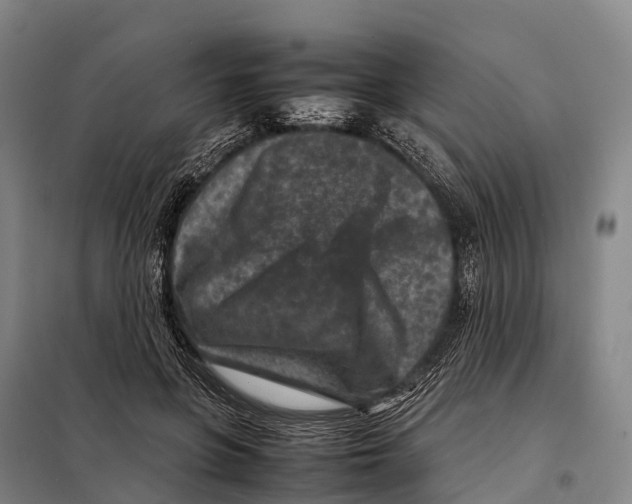 X0000098020551200804251140